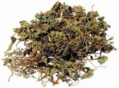 <b>患上了寻常型牛皮癣该怎样治疗</b>